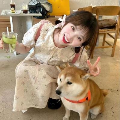 自首的爱